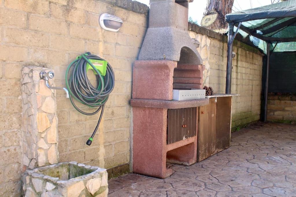The Garden House Fco, Self Check In And Free Private Parking Apartment Fiumicino Exterior photo